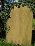 image of grave number 444959